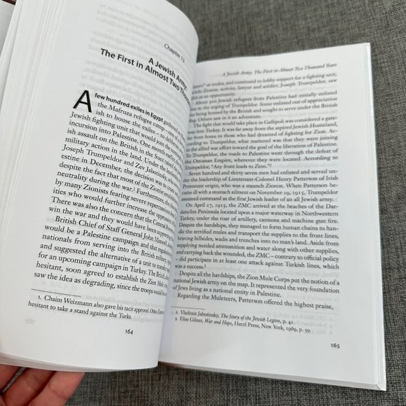 The impact of World War One on the Jewish People Book Larry Domnitch - Picture 5 of 11